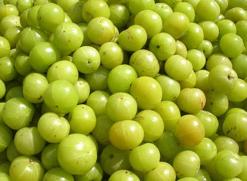 Indian Gooseberry or Amla